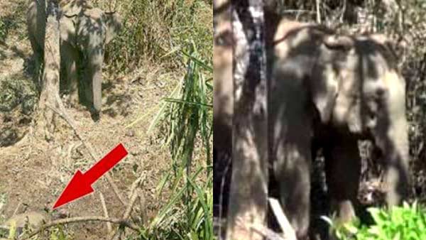 ஆக்ரோஷம் 