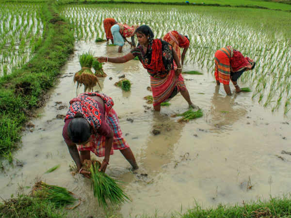 நீர் பிரச்சினை நீர் பிரச்சினை