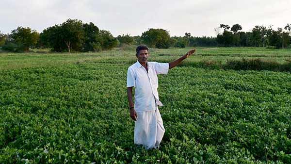 பயிர் கடன் 