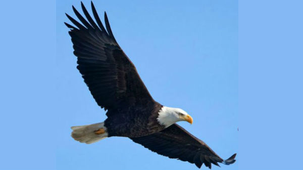 எந்த நாளில் என்ன பலன்