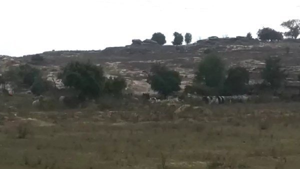 தங்கத்தை தேடி 