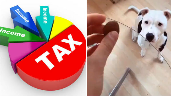 New income tax regime, a viral video New income tax regime, a viral video