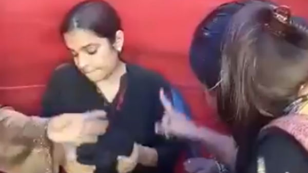 குலைக்க முயற்சி 
