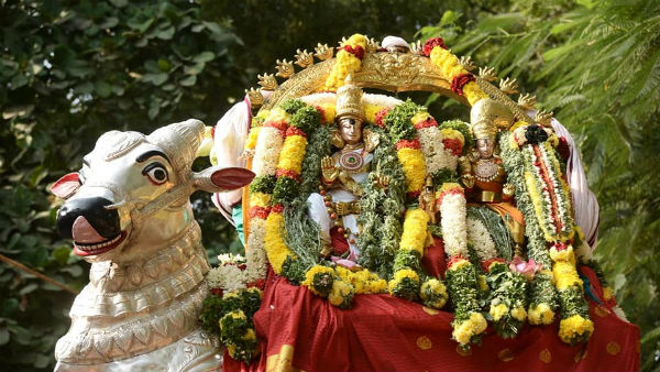 சிந்தாமணியில் கதிரறுப்பு 