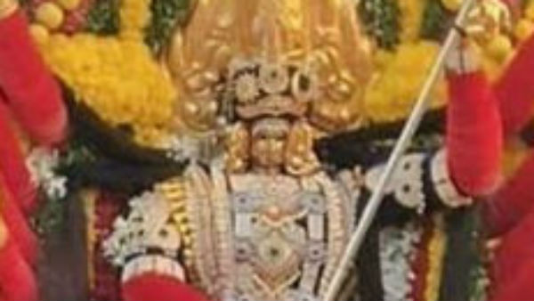 மனித எலும்பு 