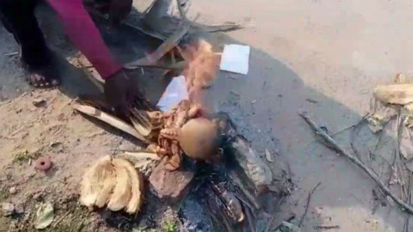 Miracle crab caught in puducherry fishermans net Miracle crab caught in puducherry fishermans net