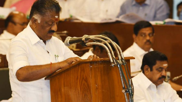 நடுத்தர மக்கள் 