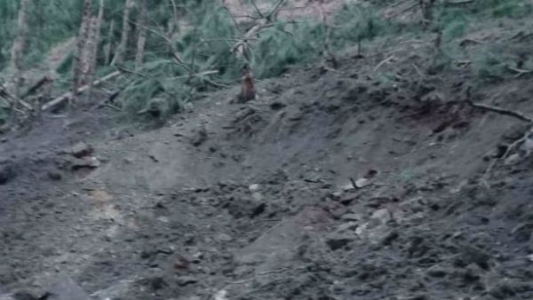 வெளிநாட்டு குழு 