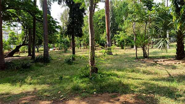 கொண்டாட்டம் இல்லை 