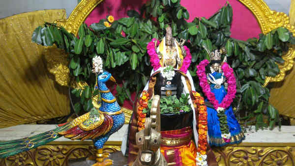 பாவங்கள் நீக்கும் வில்வம்