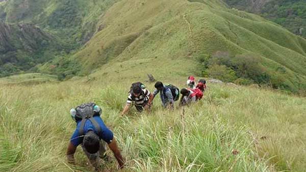 tamil nadu govt bans trekking in hill stations tamil nadu govt bans trekking in hill stations