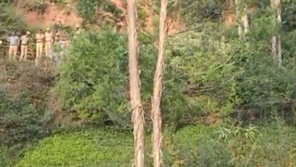 பயமா இருக்கு 