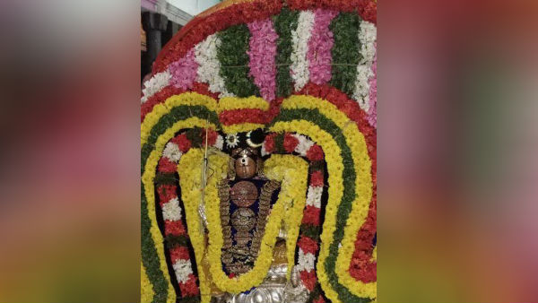 ThaiPusam 2020 Tiruvidaimaruthur bharmaorchavam Mahalingeswarar remove Brahmahathi Dosha