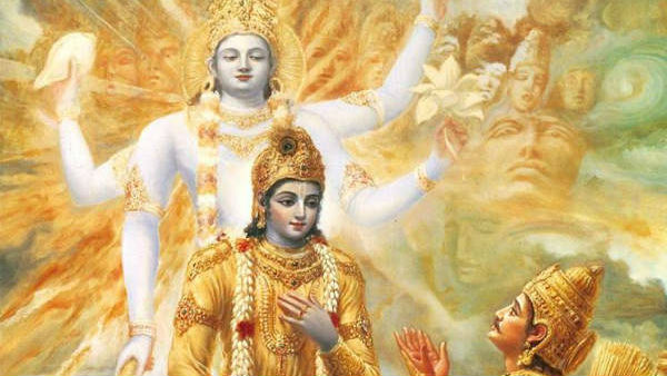 அன்னப்பறவை குஞ்சு