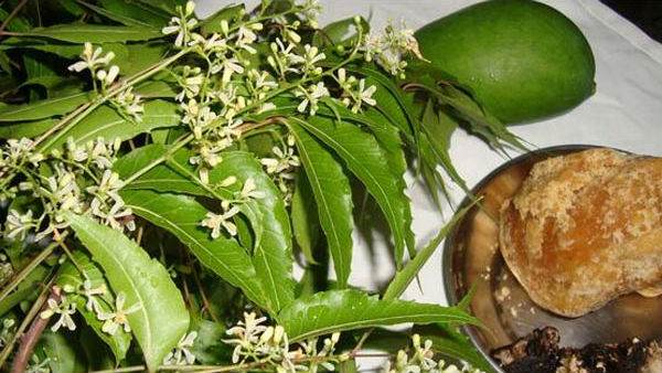 களையிழந்த உகாதி 