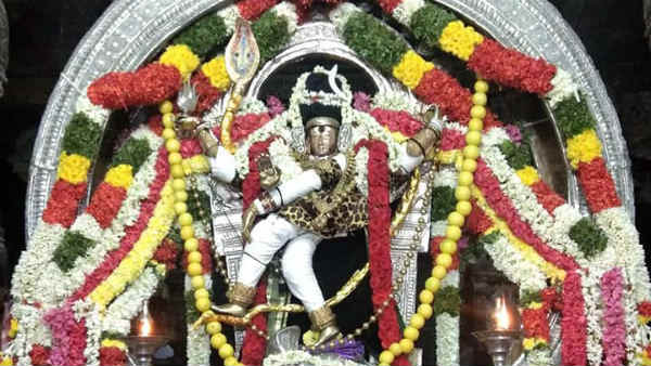 திருவாதிரையை தொடரும் விஞ்ஞானிகள் திருவாதிரையை தொடரும் விஞ்ஞானிகள்