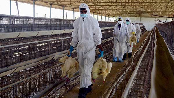 நாளைக்கு சன்டே 