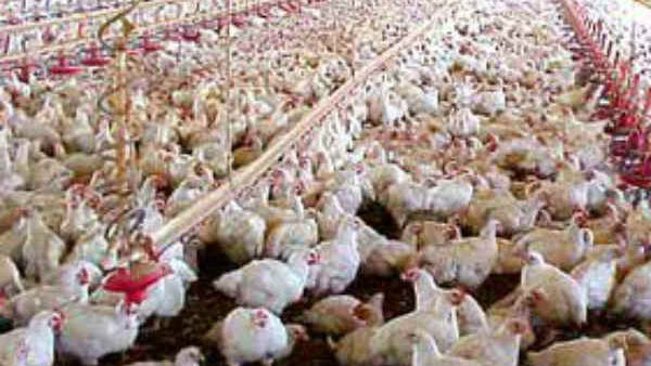 தமிழ்நாடு 