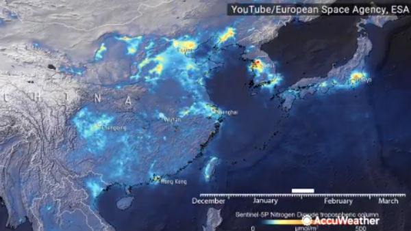 இரு படங்கள் 