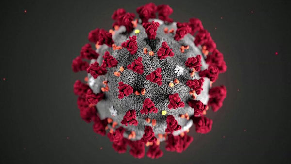 How Coronavirus defeats Immune system of Human body?