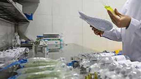 கோடை காலம் 