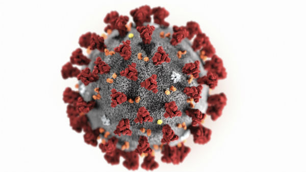 Coronavirus: Bengaluru IT professional who returned from US tests positive 