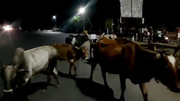 பறிமுதல் 