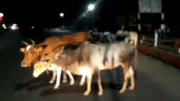 எத்தனை தண்டனைகள் 