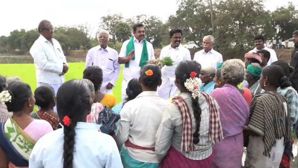 CM Edappadi Palanisamy plants a paddy sapling in a land 