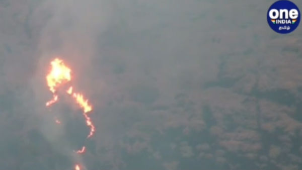 அரிய வகை 