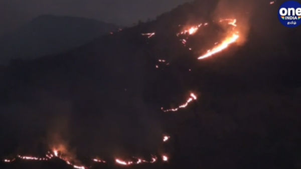 காட்டுத்தீ 