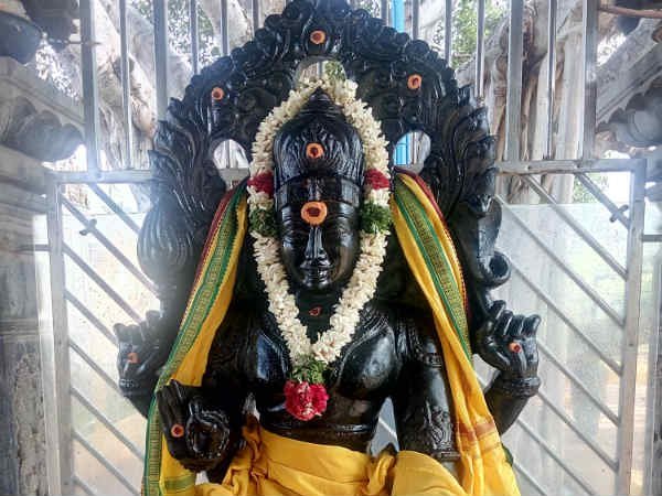 பலம் அதிகரிக்கும்