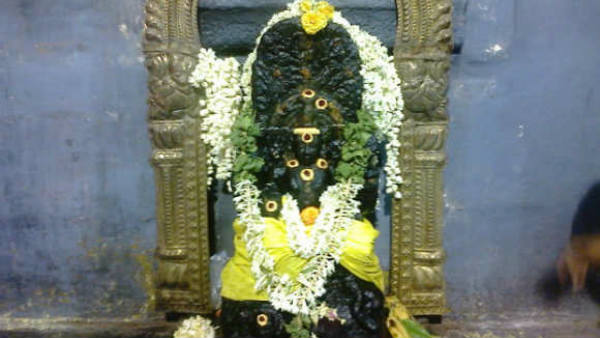 மீனம் மீனம்