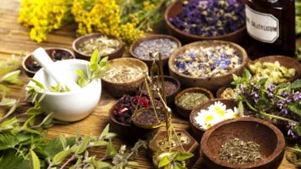 சர்க்கரைக்கு சூப்பர் மருந்து சர்க்கரைக்கு சூப்பர் மருந்து