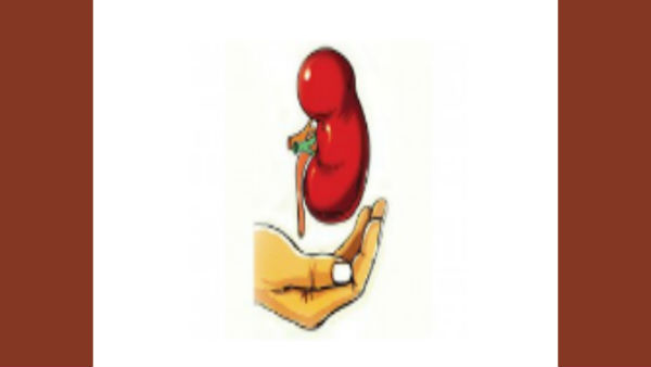 சிறுநீரக நோய் தீர்க்கும் நடராஜர்