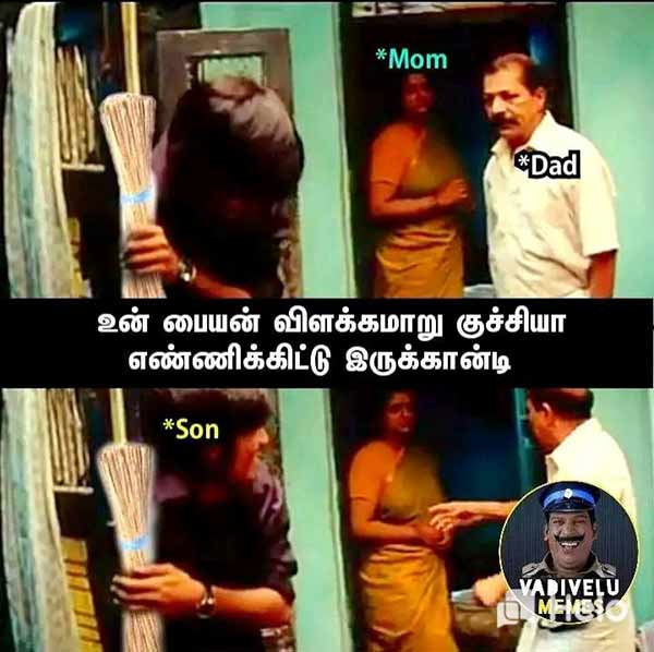 விளக்குமாறு குச்சி 