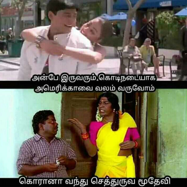  செத்துருவ மூதேவி 