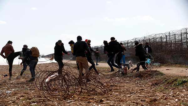 பிரேசில், ஈக்வடார் 