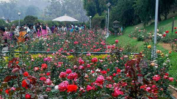 சுற்றுலா பாதிப்பு 