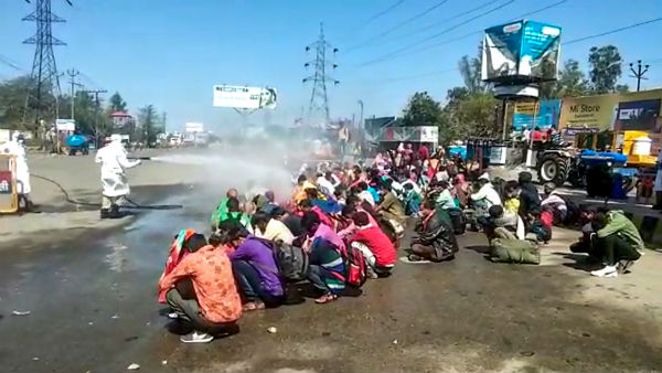 கிருமிநாசினி 