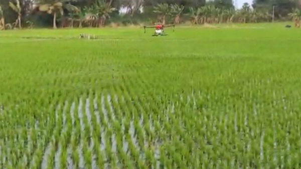 Pesticide Spraying in Agricultural Lands by Drone in Puducherry 