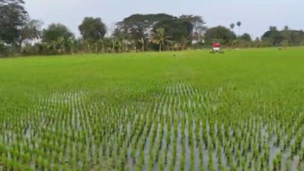 Pesticide Spraying in Agricultural Lands by Drone in Puducherry 