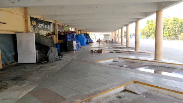 பேருந்துகள் 