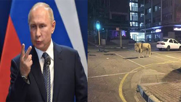 ரஷ்யா ரஷ்யா