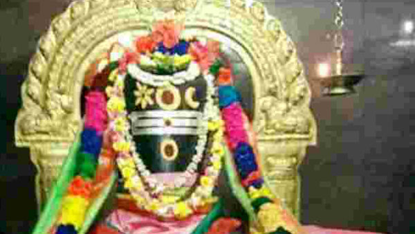 நோய்கள் நீங்கும்