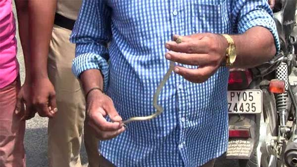 A snake in a young mans two-wheeler 
