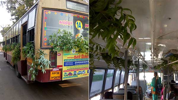 coronavirus: tied neem leaves in coimbatore buses to prevent coronavirus 