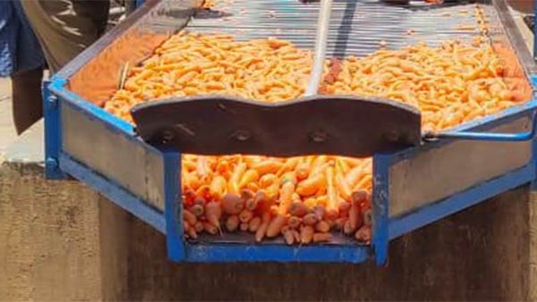 போஸ்ட் மார்ட்டம் 