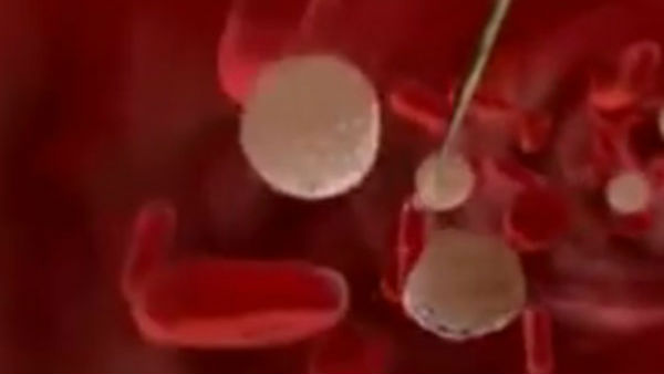  ரத்த மாதிரிகள்