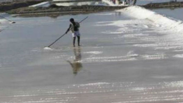 Salt production in Marakana area has been halted due to coronavirus threat 